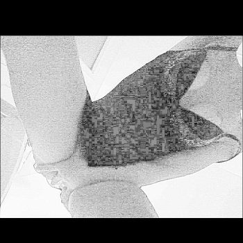 Ellya - Feldis/Veulden - Grisons | Plans Cul