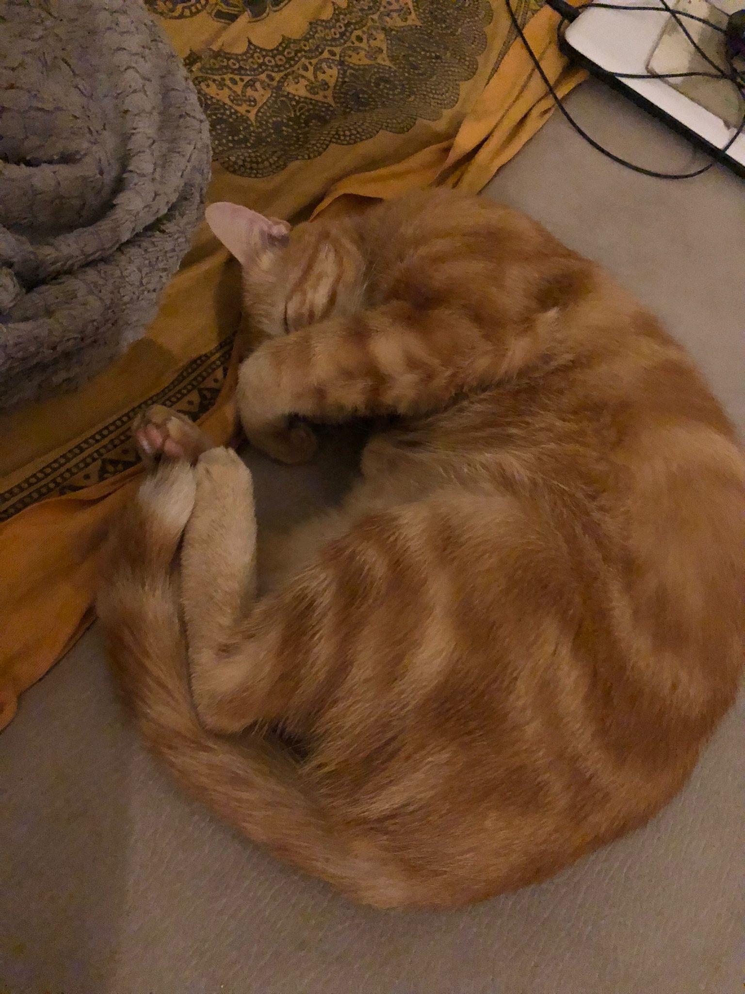 Abdelmalik - Manno - Tessin | Plans Cul