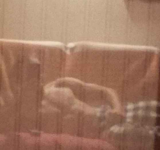 Maylane - Rivaz - Vaud | Plans Cul