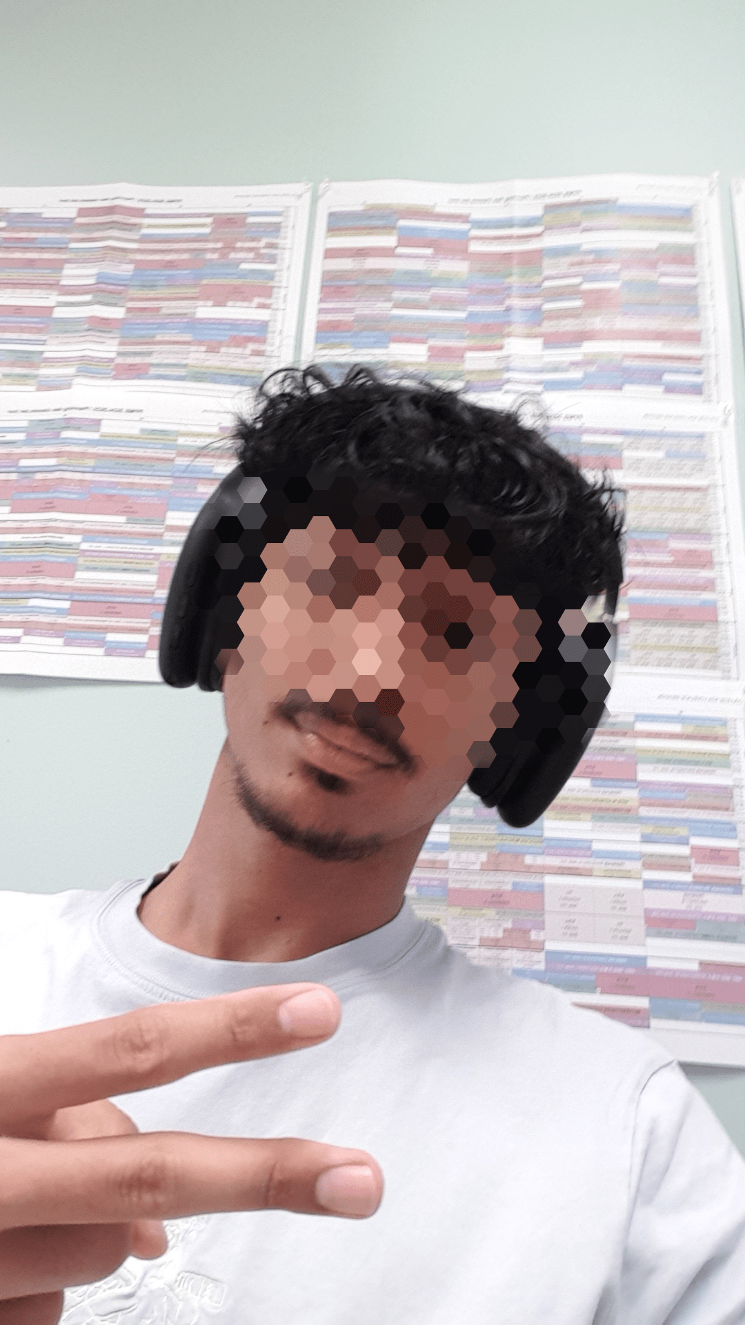 Foade - Lantsch/Lenz - Grisons | Plans Cul