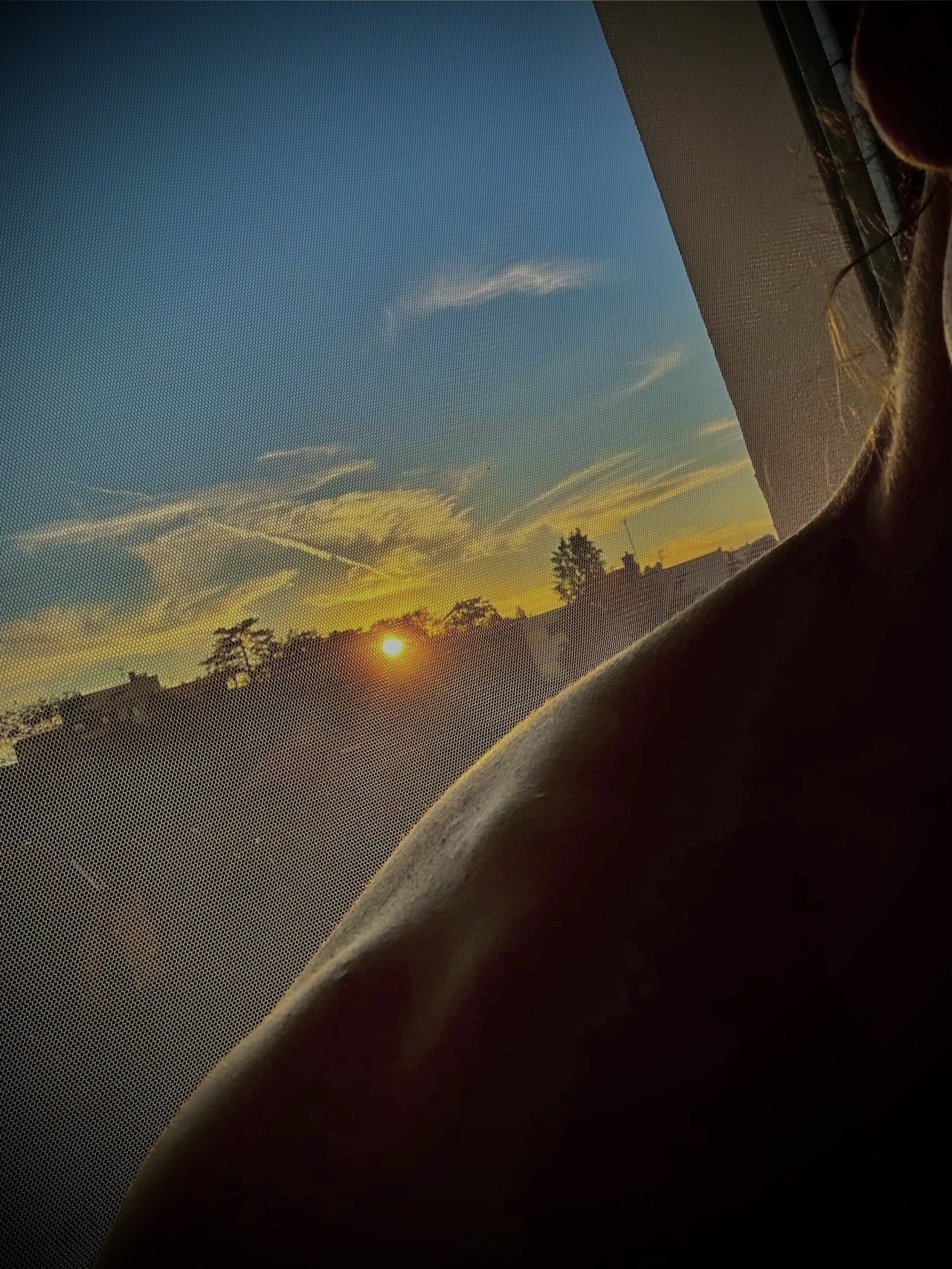 Georges-manuel - Pusserein - Grisons | Plans Cul