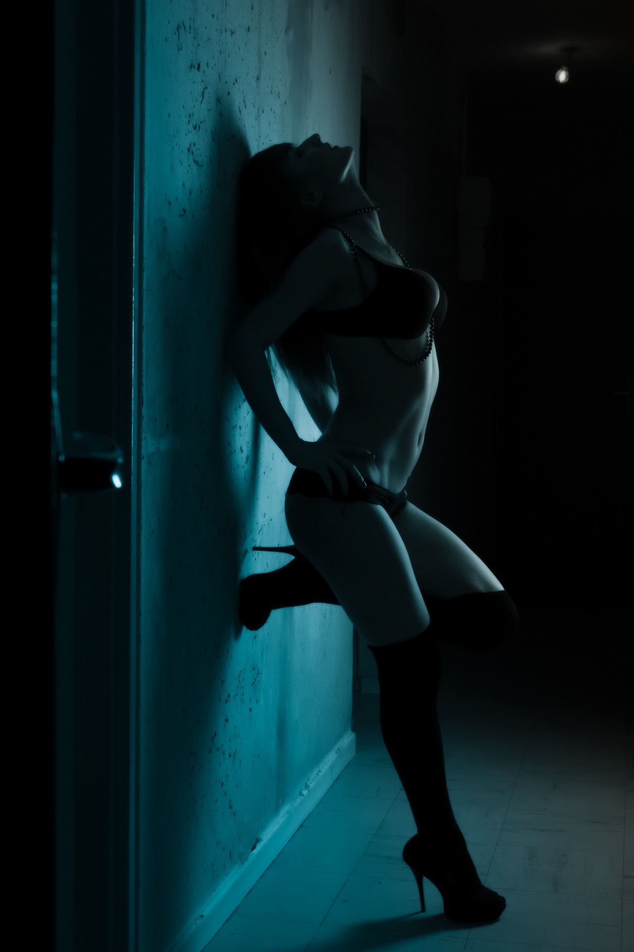 Shaan - Wallisellen - Zurich | Plans Cul