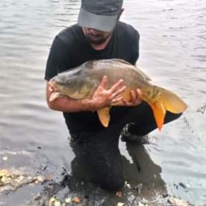 Artiom - Mehlsecken - Lucerne | Plans Cul