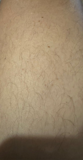 Djigui - Pohlern - Berne | Plans Cul