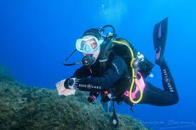 Mayel - L'Isle - Vaud | Plans Cul