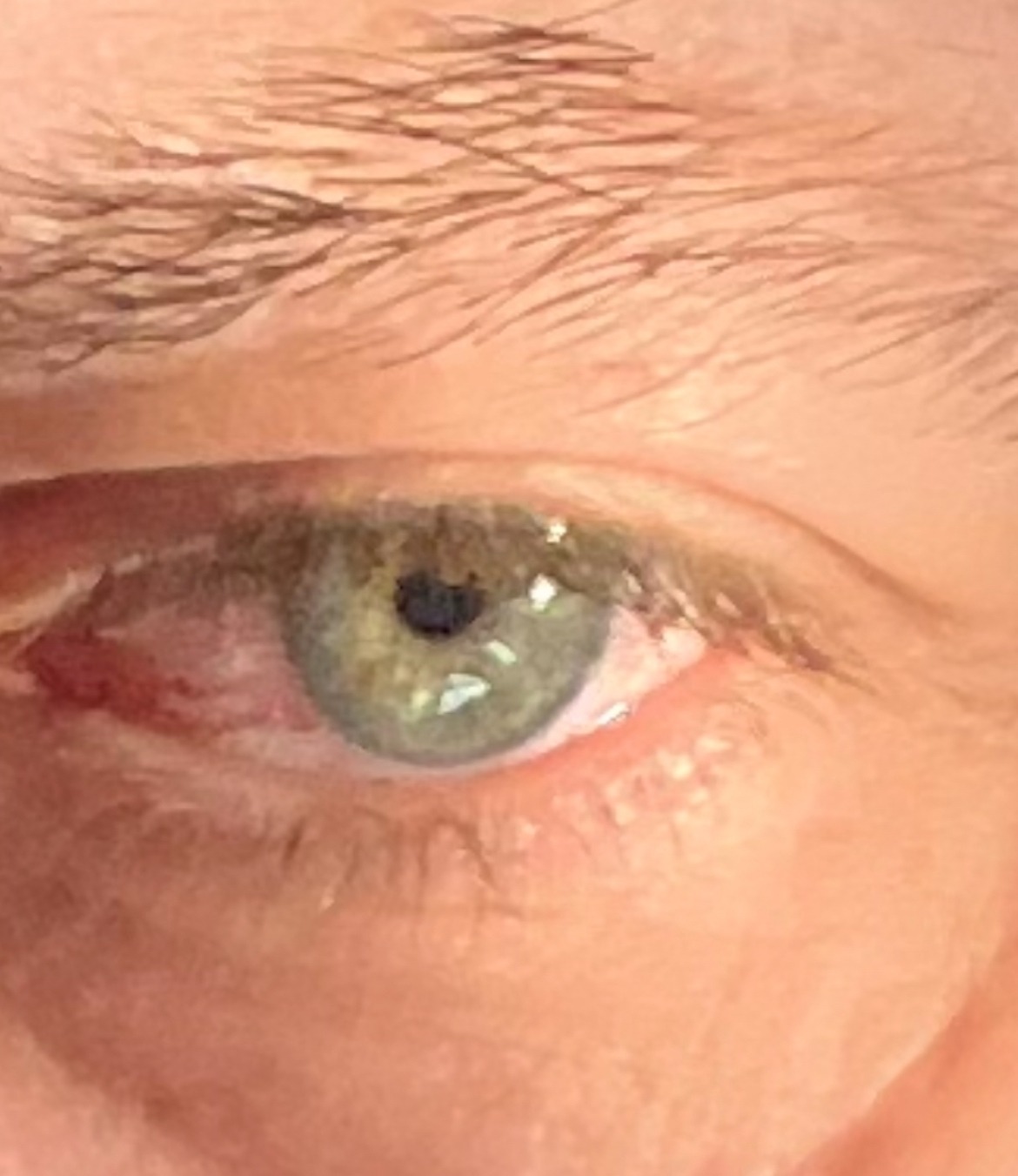 Faker - Goldach - Saint-Gall | Plans Cul