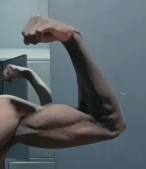 Misel - Fajauna - Grisons | Plans Cul