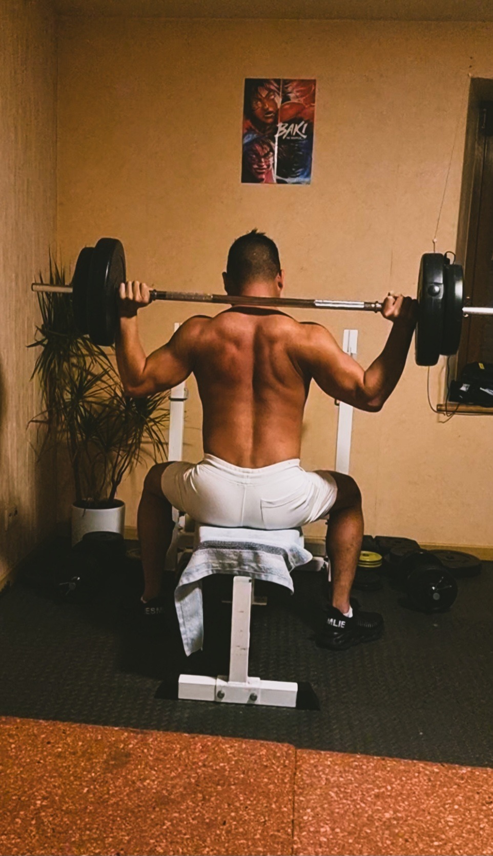 Théobald - Hinwil - Zurich | Plans Cul