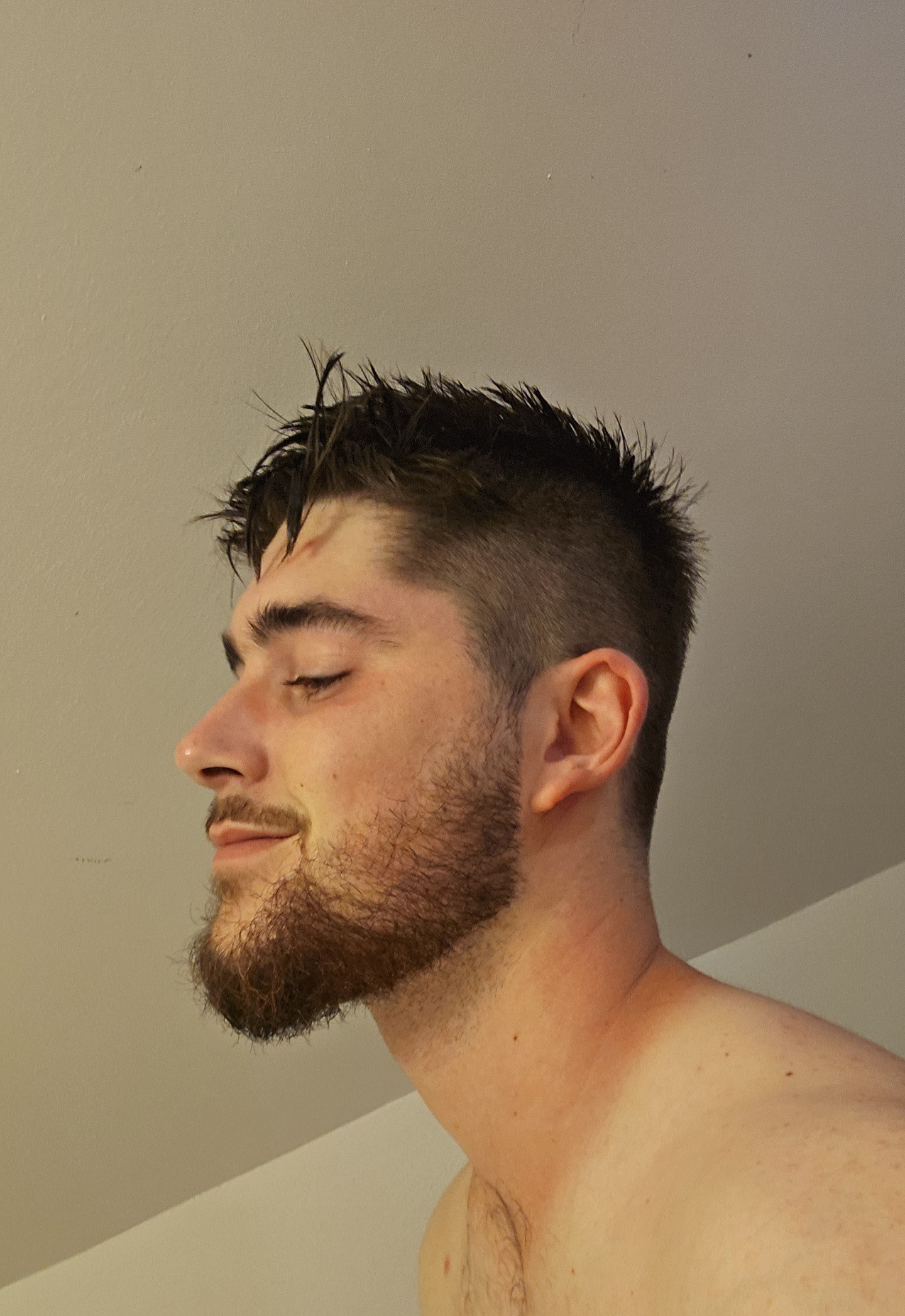 Prosper - Calpiogna - Tessin | Plans Cul