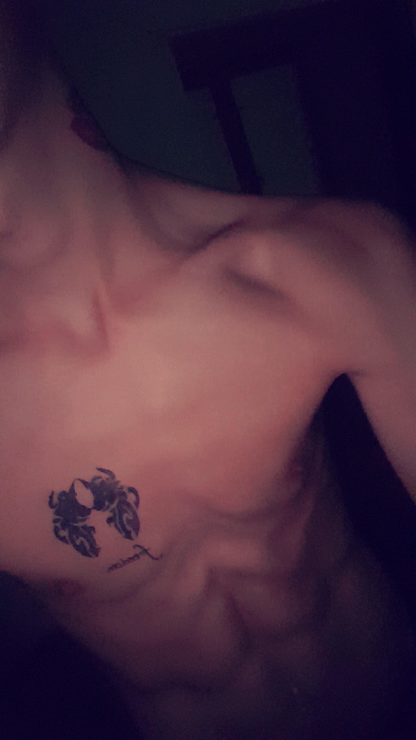 Renato - Iragna - Tessin | Plans Cul