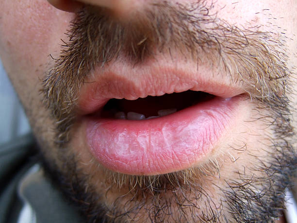 Serafin - Blessens - Fribourg | Plans Cul