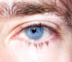 Tarike - Innerberg - Berne | Plans Cul